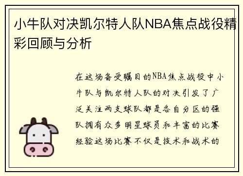 小牛队对决凯尔特人队NBA焦点战役精彩回顾与分析